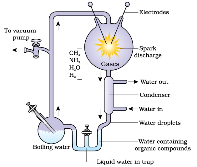 Miller's Experiment